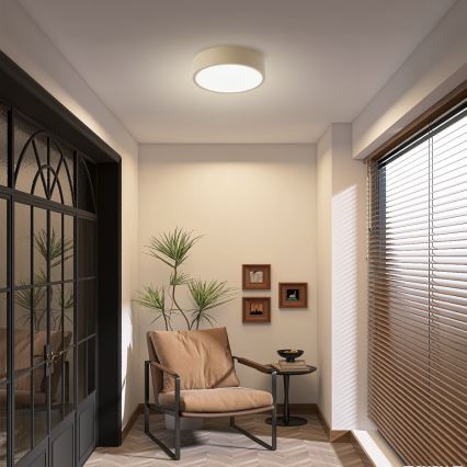 Brilagi - LED dimmējams griestu gaismeklis POOL LED/18W/230V 3000-6000K 20 cm bēšs + ar tālvadības pulti