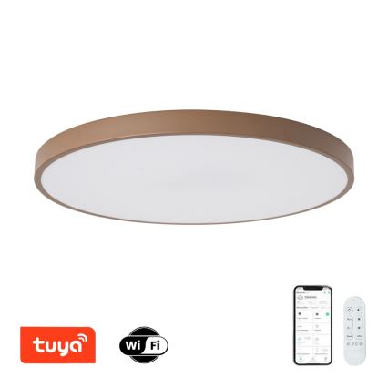 Brilagi - LED dimējams gaismeklis POOL SMART LED/100W/230V, diametrs 80 cm, Wi-Fi Tuya + tālvadība, brūns