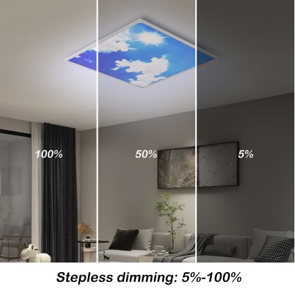Brilagi - LED stropas gaismeklis ar regulējamu spilgtumu SLIMFRAME SKY LED/58W/230V 60x60 cm 3000-6000K sudraba/zila + tālvadība