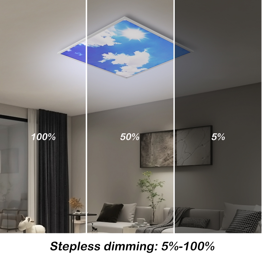 Brilagi - LED stropas gaismeklis ar regulējamu spilgtumu SLIMFRAME SKY LED/58W/230V 60x60 cm 3000-6000K sudraba/zila + tālvadība