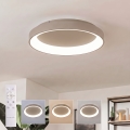 BRILAGI - LED Dimējams griestu gaismeklis FALCON II LED/99W/230V 3000-6500K Ø 60 cm bēšs + tālvadība