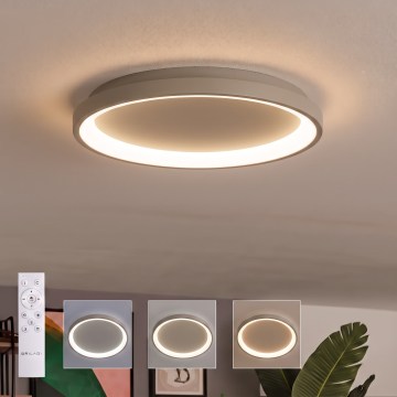 BRILAGI - LED dimējams griestu gaismeklis FALCON SLIM LED/42W/230V 3000-6500K Ø 50 cm bēšs + tālvadības pults