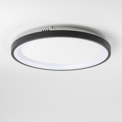 Brilagi - LED regulējams griestu gaismeklis FALCON SLIM LED/42W/230V 3000-6500K Ø 50 cm melns + ar tālvadības pulti