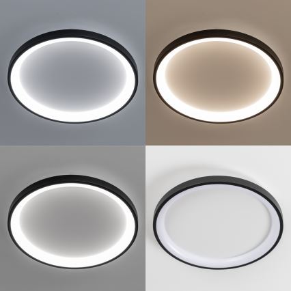 Brilagi - LED regulējams griestu gaismeklis FALCON SLIM LED/42W/230V 3000-6500K Ø 50 cm melns + ar tālvadības pulti