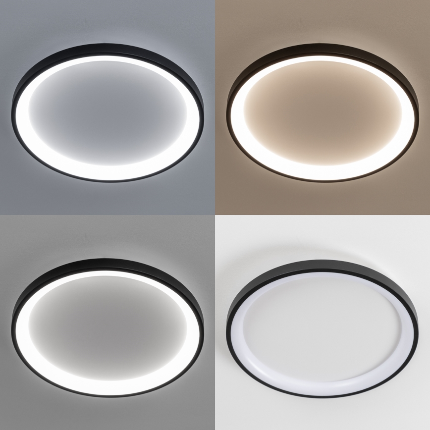 Brilagi - LED regulējams griestu gaismeklis FALCON SLIM LED/42W/230V 3000-6500K Ø 50 cm melns + ar tālvadības pulti