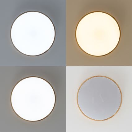 Brilagi - LED dimmējams griestu lukturis PINE LED/24W/230V koka Ø 42 cm 3000-6500K + tālvadība