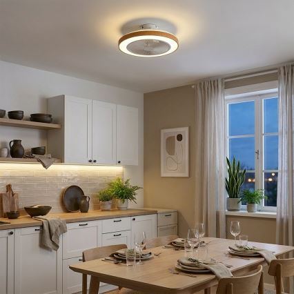 Brilagi - LED griestu ventilators ar regulējamu apgaismojumu, 38 W, 230 V, 3000–6500 K, Ø 50 cm, balts/brūns + tālvadība