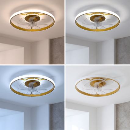 Brilagi - LED aptumšojams griestu ventilators LED/66W/230V 55 cm balts/zelts + tālvadības pults