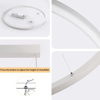 Brilagi - regulējama LED lustra uz kabeļa PORTOFINO LED/60W/230V 3000-6000K pr. 80 cm sudraba + tālvadības pults
