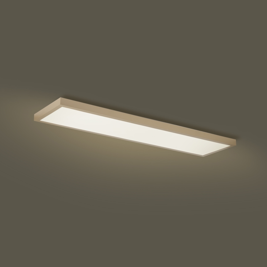 Brilagi - FRAME SMART LED vannas istabas griestu gaismeklis ar regulējamu spilgtumu LED/50W/230V 120x30 cm 3000-6000K IP44 bēšs + tālvadības pults