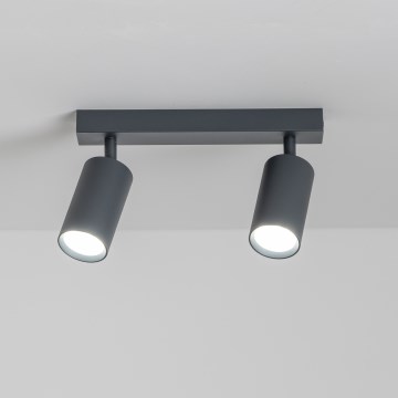 Brilagi - LED dimējams virziena gaismeklis SELE 2xGU10/6,5W/230V 2700-6500K antracīts