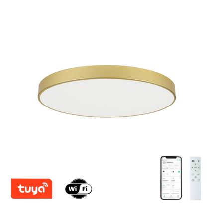 Brilagi - Regulējams LED griestu gaismeklis POOL SMART LED/100W/230V 3000-6000K 80 cm zelta Wi-Fi Tuya + tālvadības pults