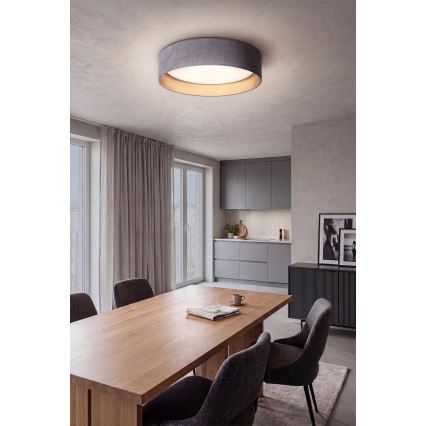 BRILAGI - LED griestu gaismeklis ar regulējamu spilgtumu VELVET SMART VARI LED/36W/230V 3000-6500K Ø55 cm pelēks/zelta + tālvadības pults