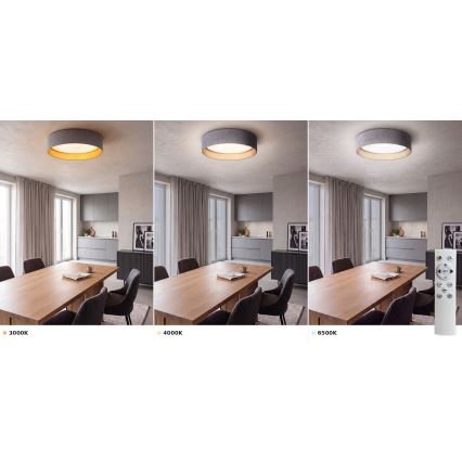 BRILAGI - LED griestu gaismeklis ar regulējamu spilgtumu VELVET SMART VARI LED/36W/230V 3000-6500K Ø55 cm pelēks/zelta + tālvadības pults