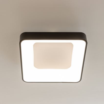 Brilagi - LED dimmējamais griestu gaismeklis FALCON II LED/80W/230V 3000-6500K 40x40 cm melns + tālvadības pults