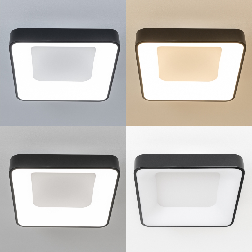 Brilagi - LED dimmējamais griestu gaismeklis FALCON II LED/80W/230V 3000-6500K 40x40 cm melns + tālvadības pults