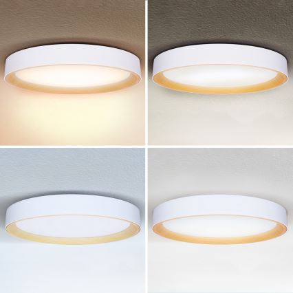Brilagi - LED dimmējams griestu gaismeklis LARIOS LED/72W/230V 3000-6500K balts Ø 59 cm + tālvadība