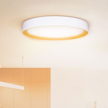 Brilagi - LED dimmējams griestu gaismeklis LARIOS LED/72W/230V 3000-6500K balts Ø 59 cm + tālvadība