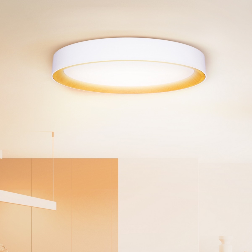 Brilagi - LED dimmējams griestu gaismeklis LARIOS LED/72W/230V 3000-6500K balts Ø 59 cm + tālvadība