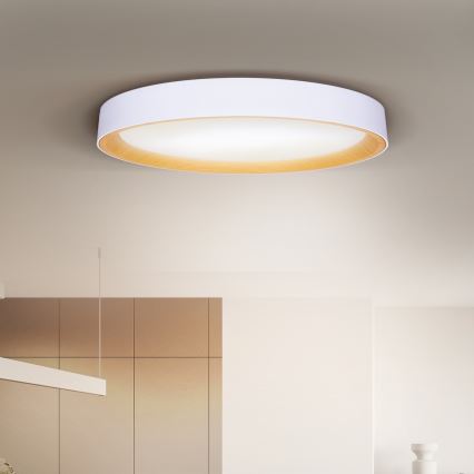 Brilagi - LED dimmējams griestu gaismeklis LARIOS LED/72W/230V 3000-6500K balts Ø 59 cm + tālvadība