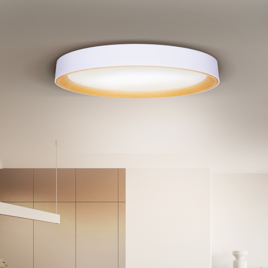 Brilagi - LED dimmējams griestu gaismeklis LARIOS LED/72W/230V 3000-6500K balts Ø 59 cm + tālvadība