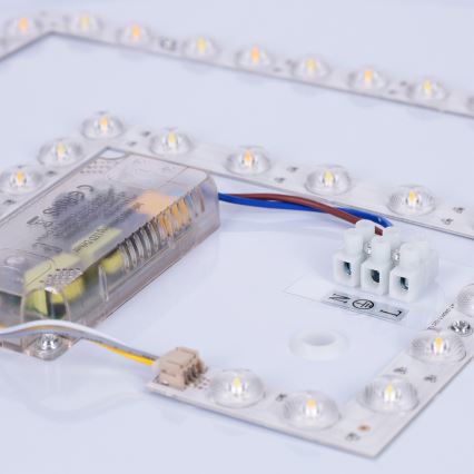 Brilagi - LED dimmējams griestu gaismeklis LUCIA LED/60W/230V 3000-6500K Ø 59 cm zaļš + tālvadības pults
