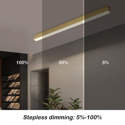 Brilagi - regulējama LED griestu lampa SLEEKLINE SMART LED/40W/230V 3000-6000K Wi-Fi Tuya zelta krāsā + tālvadības pults