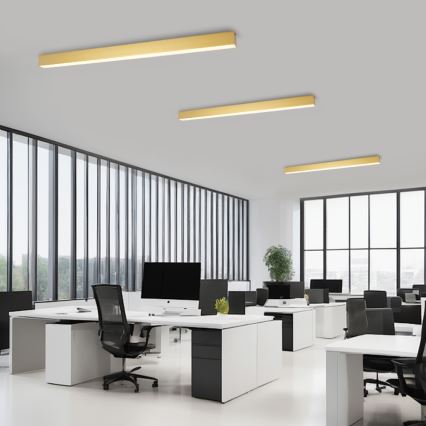 Brilagi - regulējama LED griestu lampa SLEEKLINE SMART LED/40W/230V 3000-6000K Wi-Fi Tuya zelta krāsā + tālvadības pults