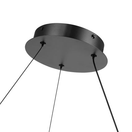 Brilagi - Regulējams LED lustrs uz troses TWISTER LED/75W/230V 3000–6000K Ø 70 cm melns + tālvadības pults