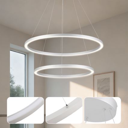 Brilagi - PORTOFINO LED lustra uz kabeļa ar regulējamu spilgtumu LED/98W/230V 3000-6000K Ø 80 cm sudraba + tālvadības pults