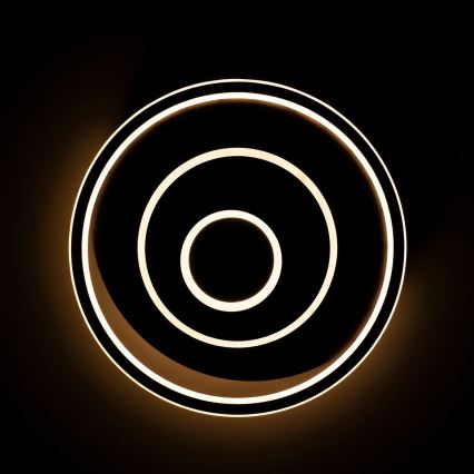 BRILAGI - IRIS LED griestu gaismeklis ar regulējamu spilgtumu 83W/230V 3000-6000K 46x50 cm melns + tālvadības pults