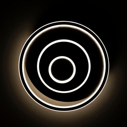 BRILAGI - IRIS LED griestu gaismeklis ar regulējamu spilgtumu 83W/230V 3000-6000K 46x50 cm melns + tālvadības pults