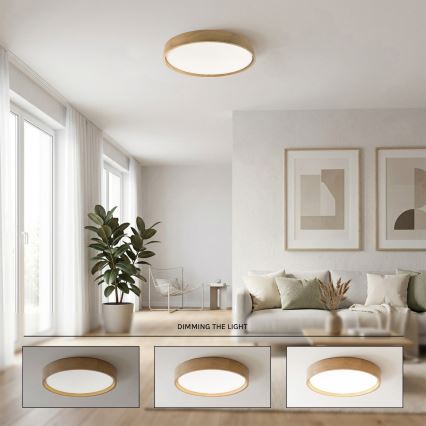 Brilagi - LED regulējama griestu lampa MANAROLA SMART STARS LED/36W/230V 3000-6000K Wi-Fi Tuya Beacon pr. 51 cm + tālvadības pults
