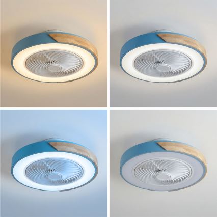 Brilagi - LED regulējama griestu lampa ar ventilatoru LED/38W/230V 3000-6500K pr. 50 cm zils/ozols + tālvadības pults