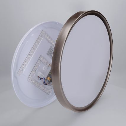 Brilagi - FANCIA LED aptumšojams griestu gaismeklis LED/48W/230V 3000-6500K pr. 39 cm sudraba + ar tālvadības pulti