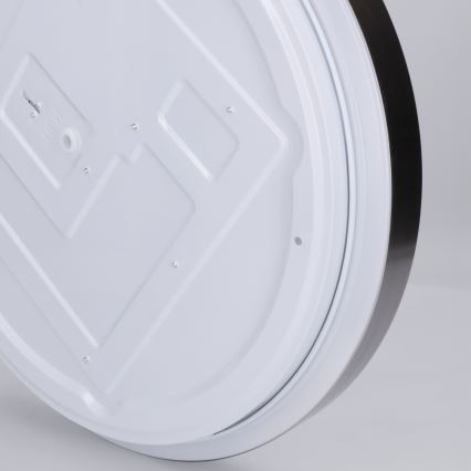 Brilagi - FANCIA LED aptumšojams griestu gaismeklis LED/48W/230V 3000-6500K pr. 39 cm sudraba + ar tālvadības pulti