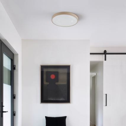 Brilagi - LED regulējams stropas gaismeklis GLASS POOL DOUBLE LED/48W/230V 3000-6000K 40 cm bēšs + ar tālvadības pulti