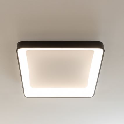 Brilagi - LED regulējams griestu gaismeklis FALCON II LED/125W/230V 3000-6500K 60x60 cm melns + tālvadība