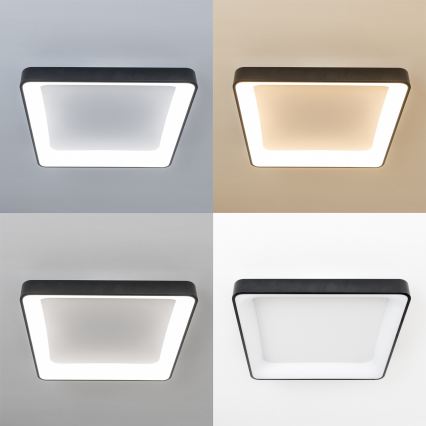 Brilagi - LED regulējams griestu gaismeklis FALCON II LED/125W/230V 3000-6500K 60x60 cm melns + tālvadība