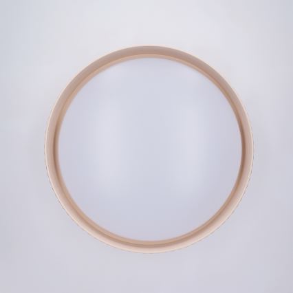 Brilagi - LUCIA LED griestu lampa ar regulējamu spilgtumu, 48 W, 230 V, 3000–6500 K, Ø 41 cm, bēša + tālvadības pulti