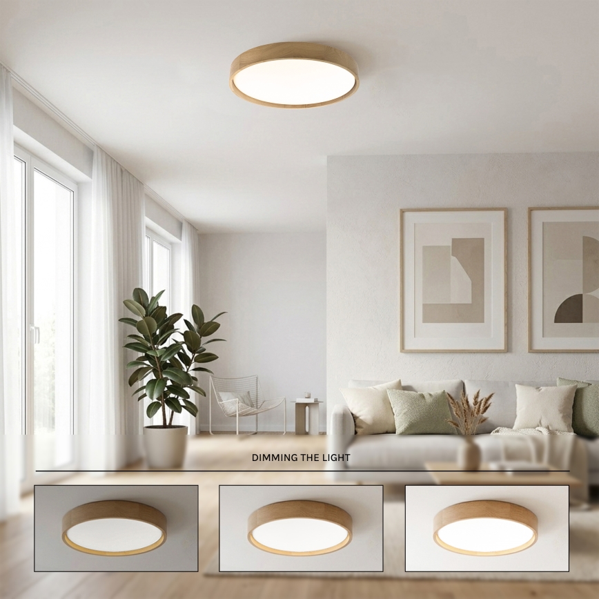 Brilagi - LED aptumšojama griestu lampa MANAROLA REMOTE LED/36W/230V 3000-6500K Ø 51 cm ozols + ar tālvadības pulti