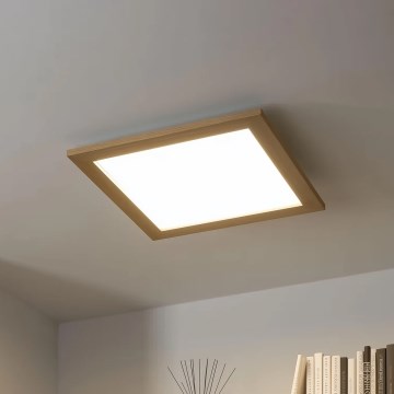 Brilagi - LED dimmējams griestu gaismeklis SLIMFRAME WOOD LED/36W/230V 49,5x49,5 cm 3000-6000K brūns + ar tālvadības pulti
