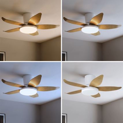 Brilagi - regulējams LED griestu ventilators LED/32W/230V 95 cm balts/brūns + tālvadības pults