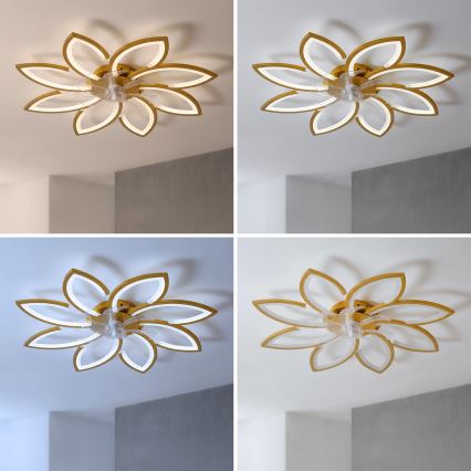 Brilagi - LED aptumšojams griestu ventilators LED/43W/230V Ø 90 cm zelta + tālvadības pults