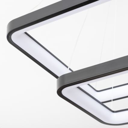 Brilagi - LED lustra ar regulējamu spilgtumu uz troses FALCON SLIM LED/78W/230V 3000-6500K 50x50 cm melna + tālvadības pults