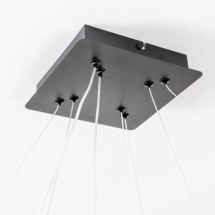 Brilagi - LED lustra ar regulējamu spilgtumu uz troses FALCON SLIM LED/78W/230V 3000-6500K 50x50 cm melna + tālvadības pults