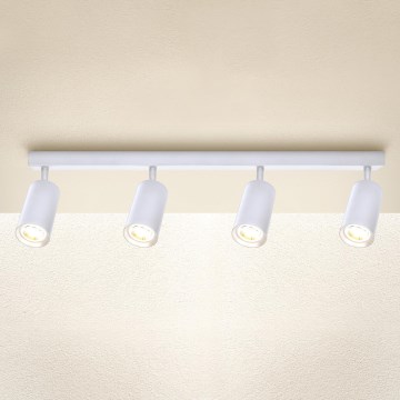 Brilagi - LED dimmējams punktgaismeklis SELE 4xGU10/6,5W/230V 2700-6500K balts