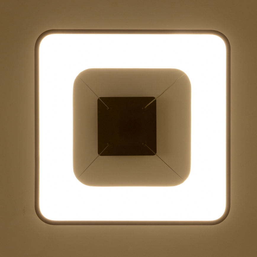 Brilagi - LED regulējama lustra uz troses FALCON II LED/80W/230V 3000-6500K 40x40 cm melna + tālvadība