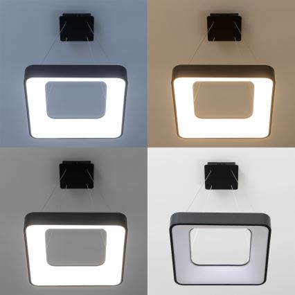 Brilagi - LED regulējama lustra uz troses FALCON II LED/80W/230V 3000-6500K 40x40 cm melna + tālvadība