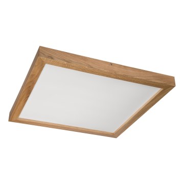 Brilagi - LED Dūmaka WOODY FRAME LED/50W/230V 60x60 cm IP44 ozols